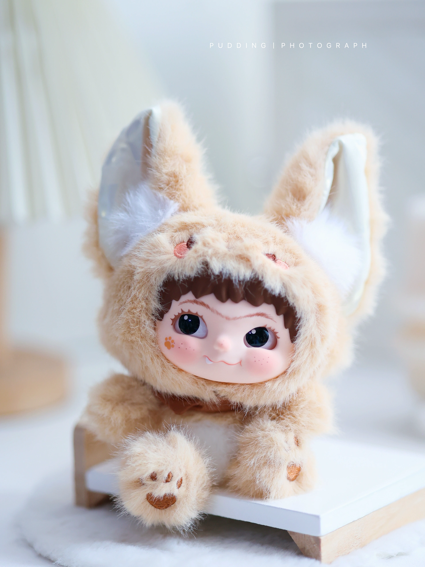 WAKUKU Rabbit & Fox Series--Vinyl pendant blind box