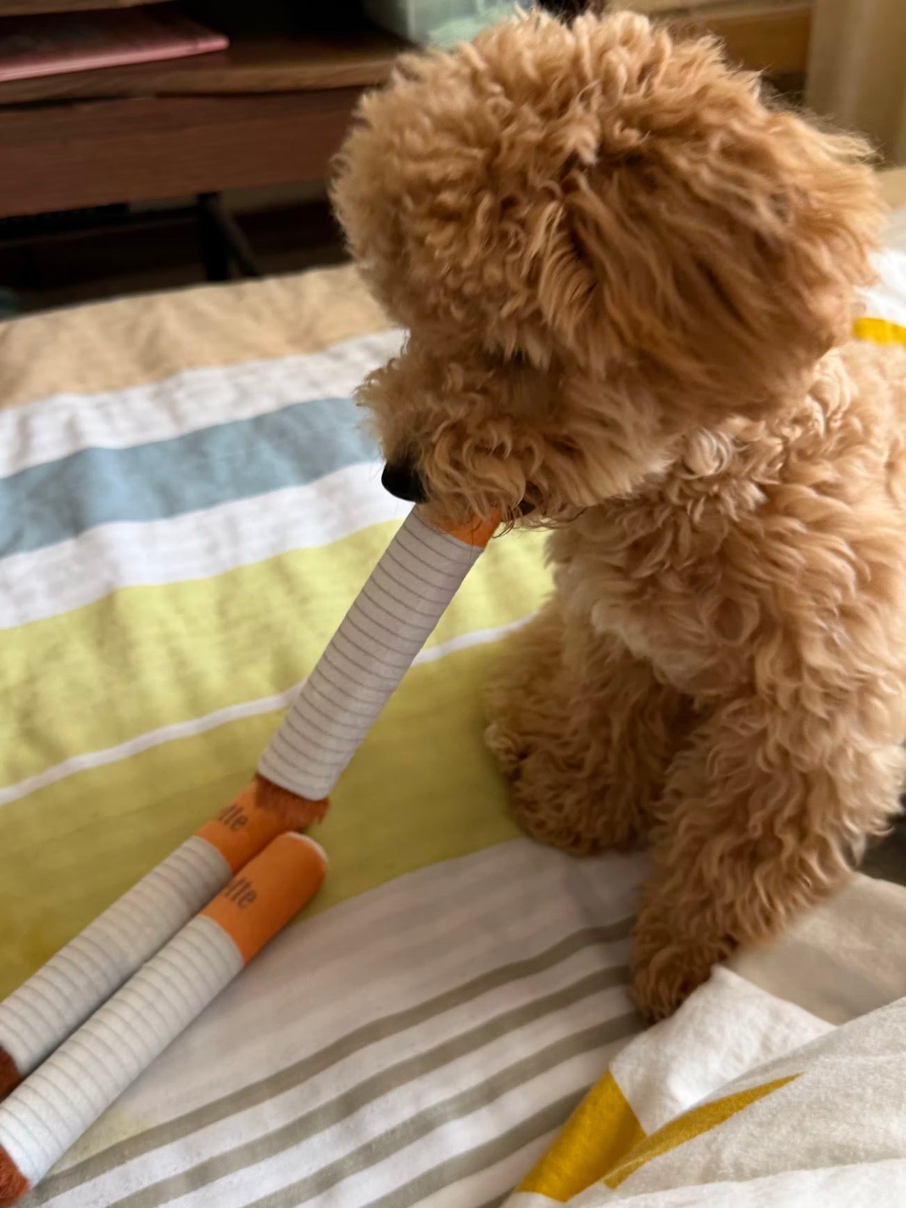 Simulated Smoking Sound "Squeeze-and-Play" Pet Toy