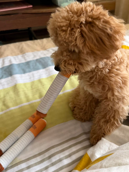 Simulated Smoking Sound "Squeeze-and-Play" Pet Toy