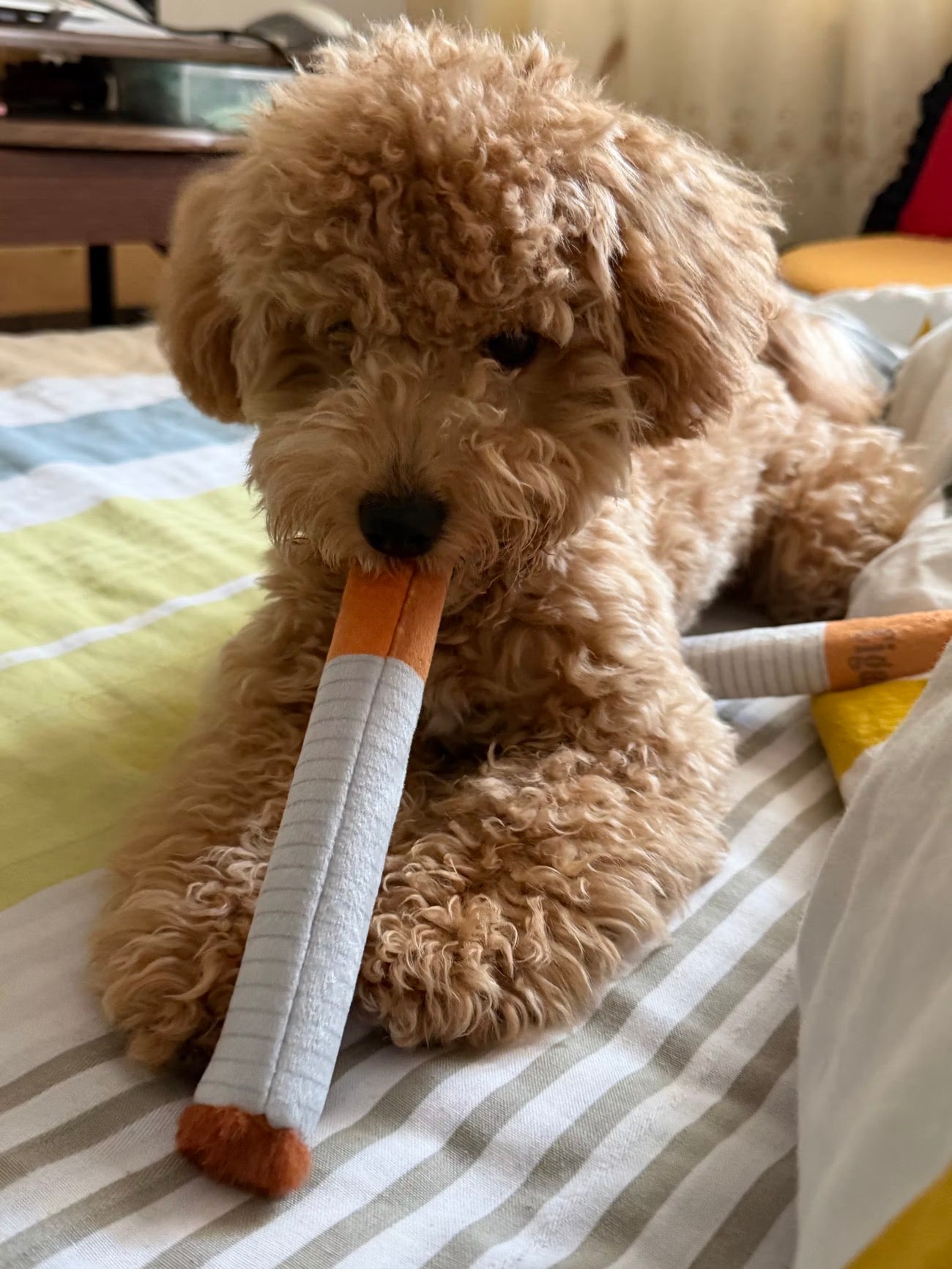 Simulated Smoking Sound "Squeeze-and-Play" Pet Toy
