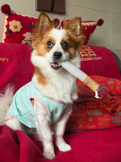 Simulated Smoking Sound "Squeeze-and-Play" Pet Toy