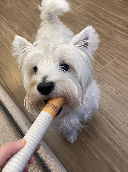 Simulated Smoking Sound "Squeeze-and-Play" Pet Toy